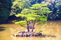 japon (65).jpg